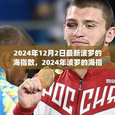 波罗的海指数最新动态,深层影响与前景展望(2024年12月)