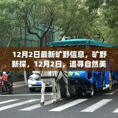 12月2日旷野新探,追寻自然美景,探寻内心宁静之旅