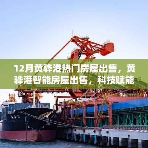 黄骅港智能房屋热销，科技赋能生活，未来居住新体验