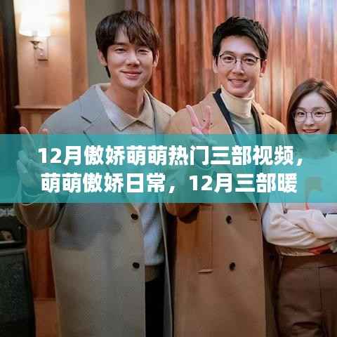 12月傲娇萌萌热门视频，暖心故事的温馨之旅