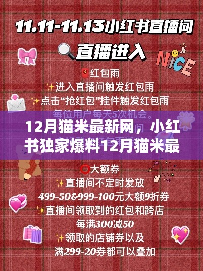 12月猫米最新网,小红书独家爆料,新鲜资讯与惊喜福利一网打尽!