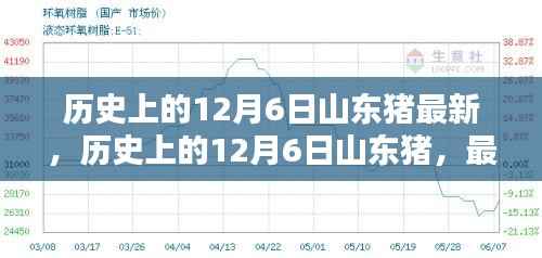 历史上的12月6日山东猪最新资讯与深度分析,最新动态与指南