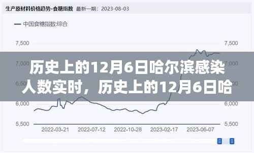 探寻哈尔滨历史上的十二月六日感染人数实时背后的故事
