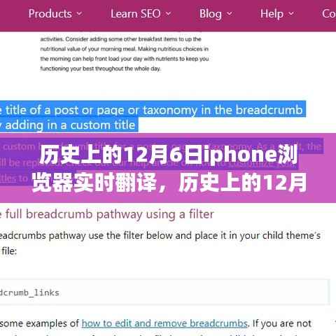 历史上的12月6日,iPhone浏览器实时翻译功能详解及使用指南