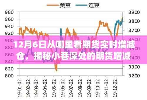揭秘期货实时增减仓情报站，12月6日观察之旅，洞悉期货动态变化