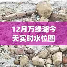 探索自然秘境，万绿湖实时水位图表揭示宁静之旅