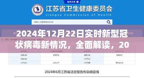 实时解读,2024年12月22日新型冠状病毒新情况全面分析与产品评测