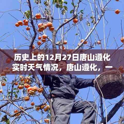 风雪中的唐山遵化,历史实时天气与深厚友情回顾