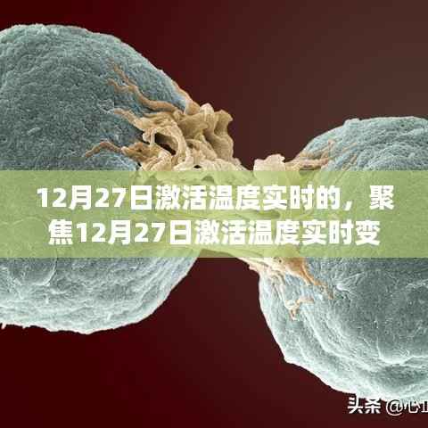 zizhenjuzhuo 第12页