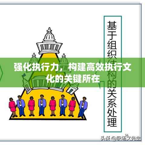 强化执行力,构建高效执行文化的关键所在
