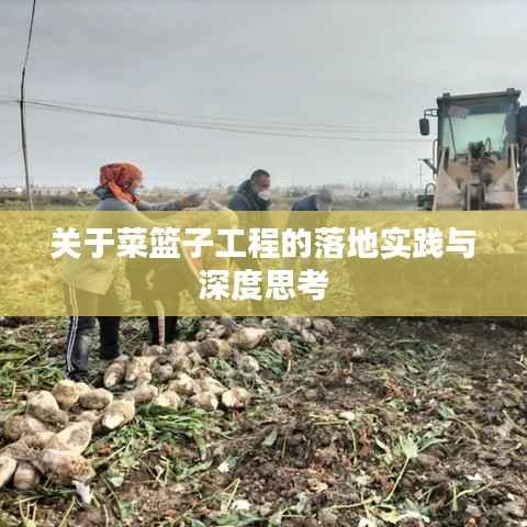关于菜篮子工程的落地实践与深度思考