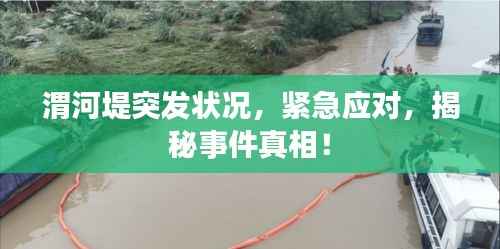 渭河堤突发状况，紧急应对，揭秘事件真相！