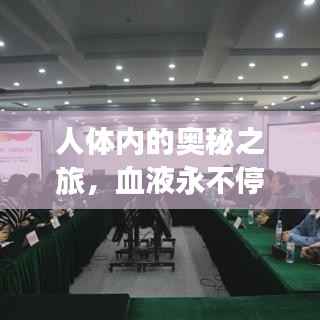 人体内的奥秘之旅,血液永不停歇的循环之旅