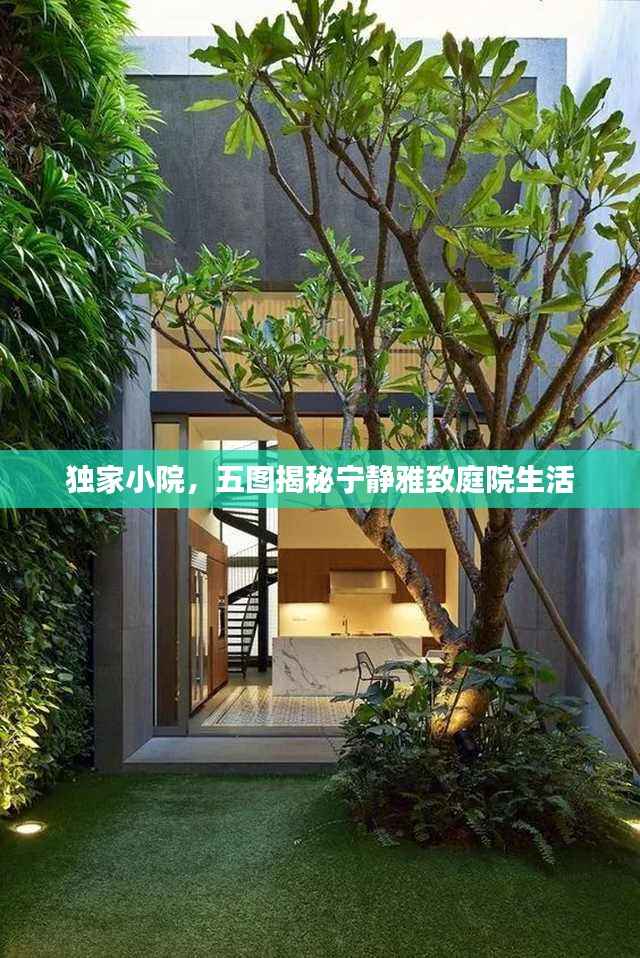 独家小院,五图揭秘宁静雅致庭院生活