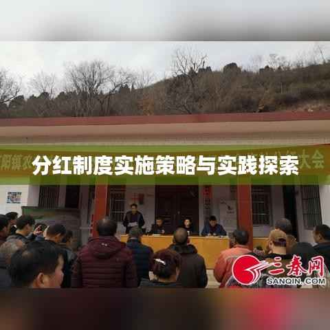 分红制度实施策略与实践探索