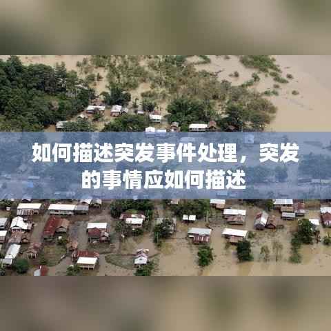 如何描述突发事件处理,突发的事情应如何描述