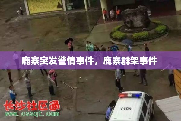 鹿寨突发警情事件,鹿寨群架事件