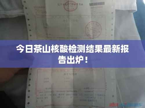 今日茶山核酸检测结果最新报告出炉!