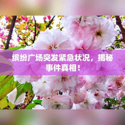 缤纷广场突发紧急状况,揭秘事件真相!