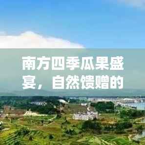 南方四季瓜果盛宴,自然馈赠的丰富多样美味