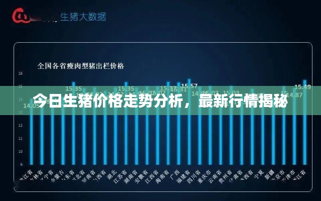 今日生猪价格走势分析，最新行情揭秘