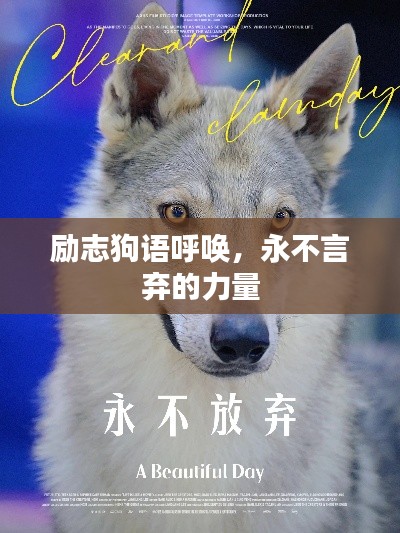 励志狗语呼唤,永不言弃的力量