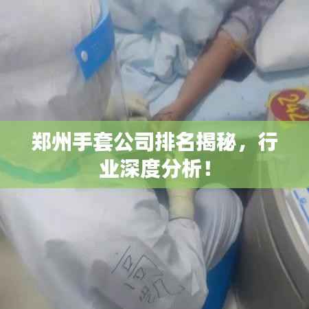 郑州手套公司排名揭秘，行业深度分析！
