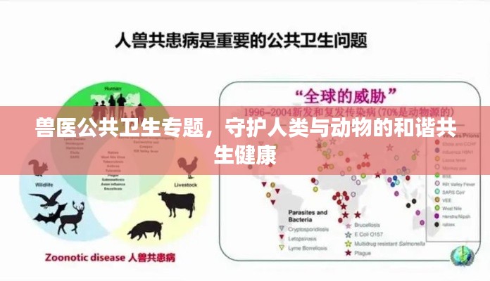 兽医公共卫生专题，守护人类与动物的和谐共生健康