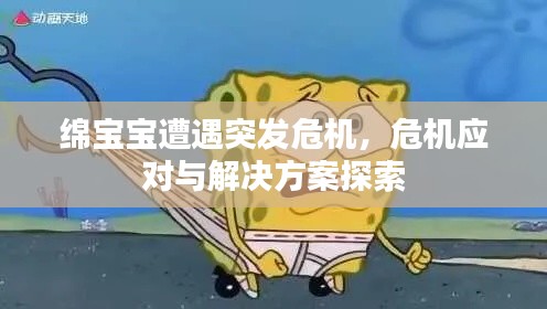 绵宝宝遭遇突发危机,危机应对与解决方案探索