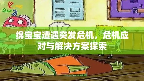 绵宝宝遭遇突发危机,危机应对与解决方案探索