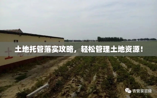土地托管落实攻略,轻松管理土地资源!