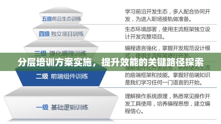 分层培训方案实施,提升效能的关键路径探索