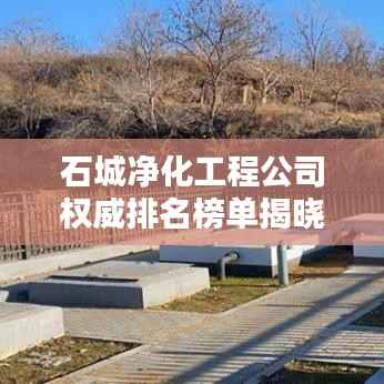 石城净化工程公司权威排名榜单揭晓!