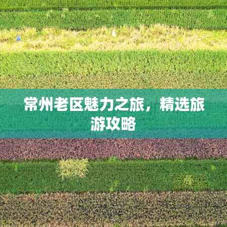 常州老区魅力之旅,精选旅游攻略