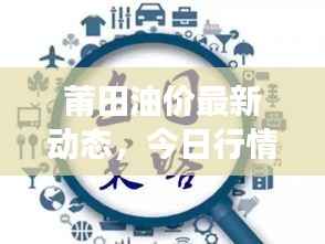 莆田油价最新动态,今日行情及市场趋势深度解析