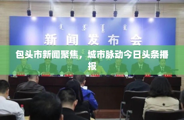 包头市新闻聚焦,城市脉动今日头条播报