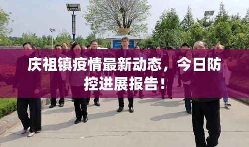 庆祖镇疫情最新动态,今日防控进展报告!