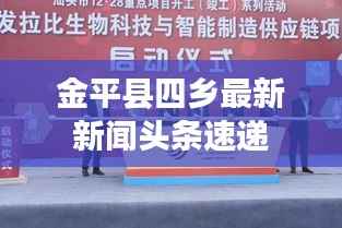 金平县四乡最新新闻头条速递