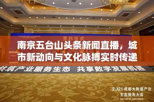 南京五台山头条新闻直播,城市新动向与文化脉搏实时传递