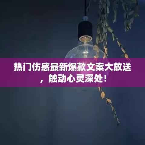 热门伤感最新爆款文案大放送，触动心灵深处！