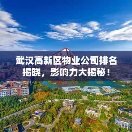 武汉高新区物业公司排名揭晓,影响力大揭秘!