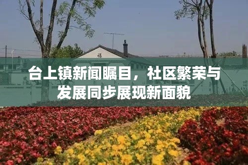 台上镇新闻瞩目,社区繁荣与发展同步展现新面貌