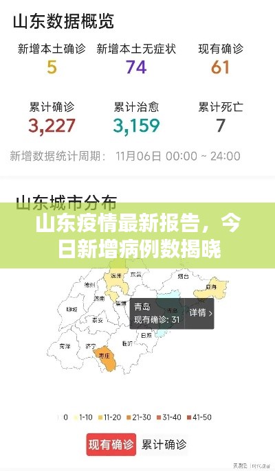 山东疫情最新报告,今日新增病例数揭晓