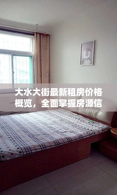 大水大街最新租房价格概览,全面掌握房源信息