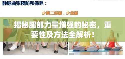 揭秘腿部力量增强的秘密,重要性及方法全解析!