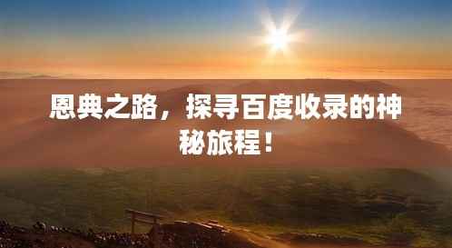 恩典之路,探寻百度收录的神秘旅程!