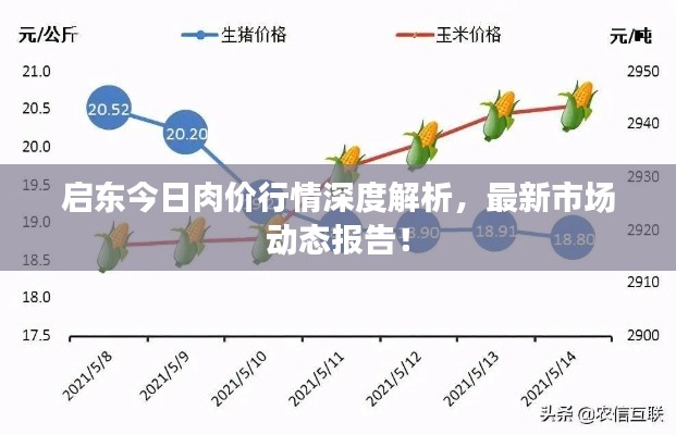 启东今日肉价行情深度解析,最新市场动态报告!