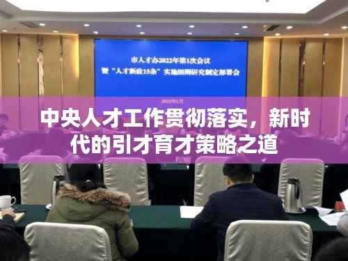 中央人才工作贯彻落实,新时代的引才育才策略之道