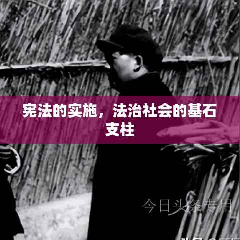 宪法的实施,法治社会的基石支柱