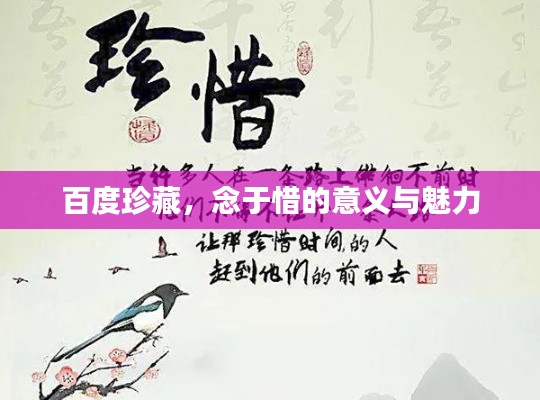 百度珍藏，念于惜的意义与魅力
